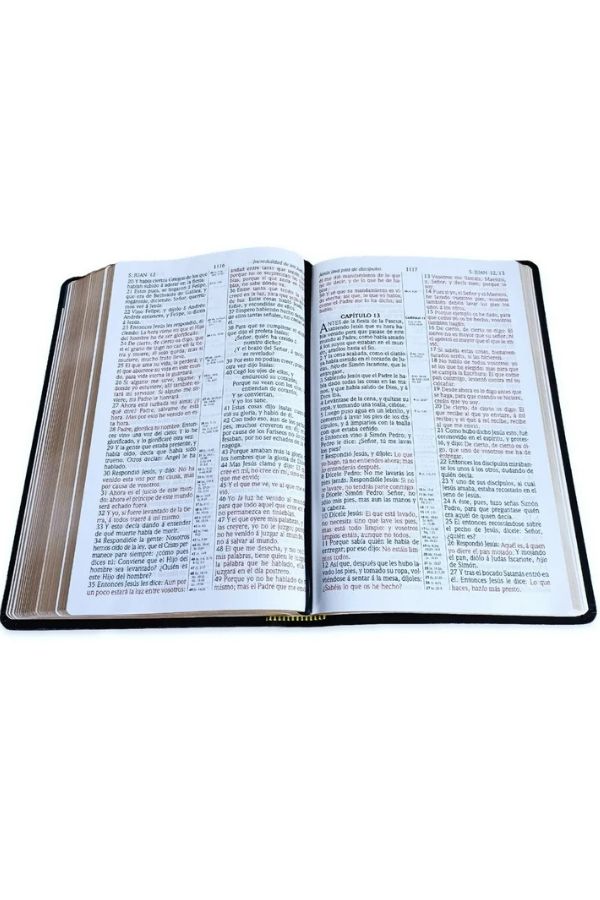 Santa-Biblia-RV1909-Clasica-con-referencias-1